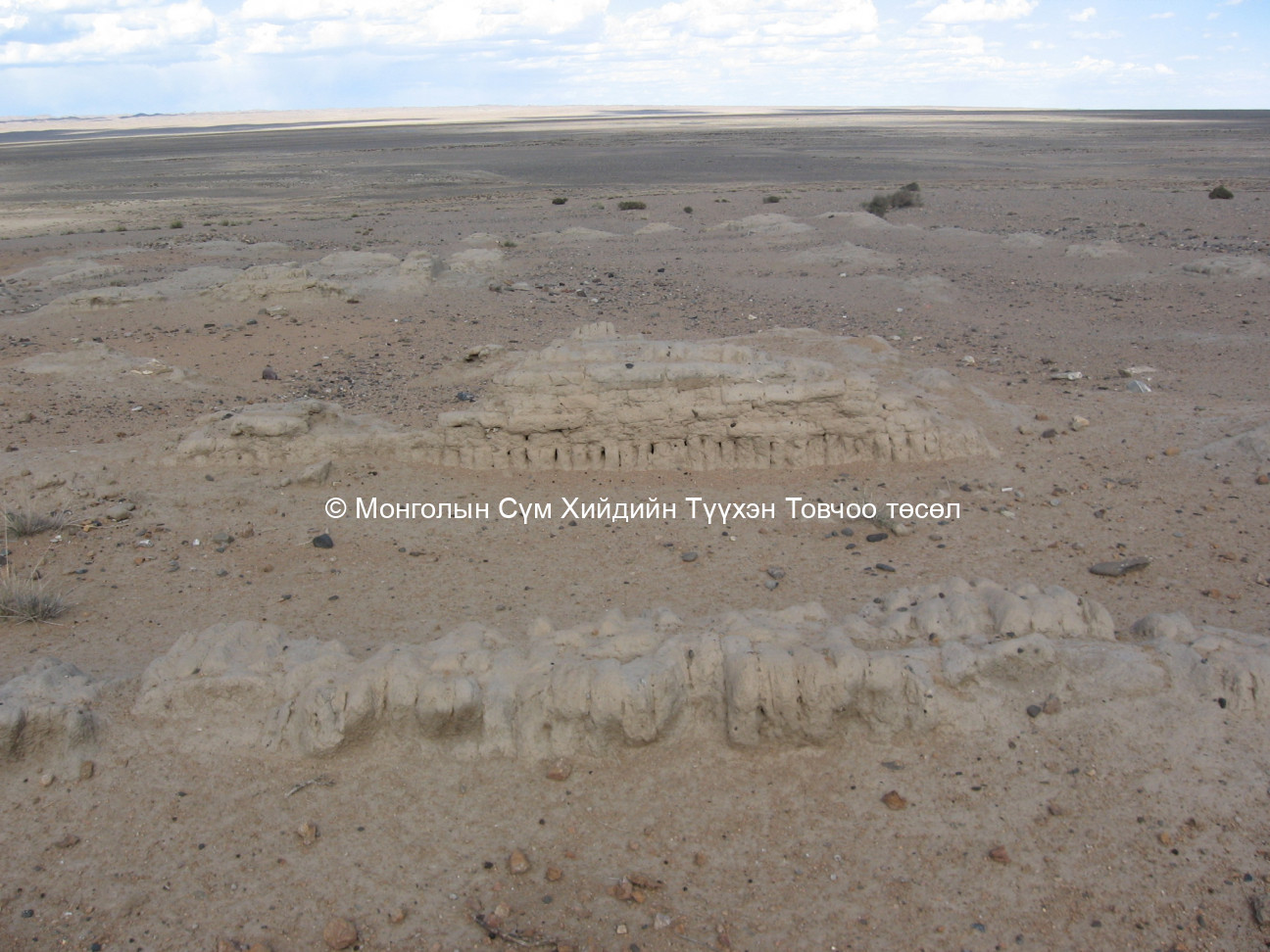 Туурийн ерөнхий байдал